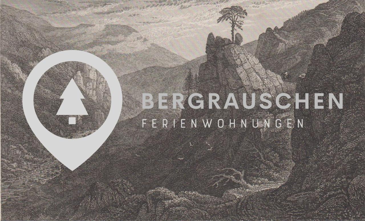 Appartement Bergrauschen - Waldloft - Preise Inklusive Waesche à Goslar Extérieur photo