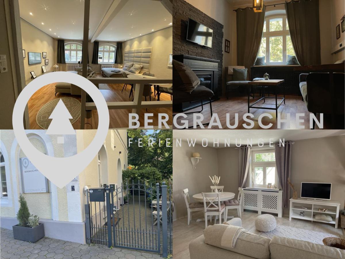 Appartement Bergrauschen - Waldloft - Preise Inklusive Waesche à Goslar Extérieur photo